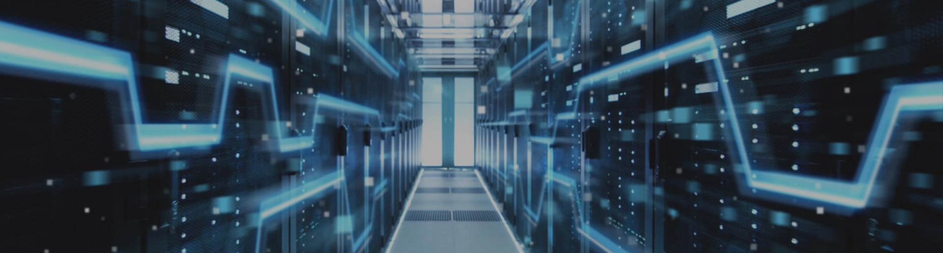 Optisches Modul & Kabel